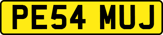 PE54MUJ