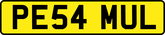 PE54MUL