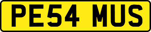 PE54MUS
