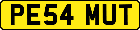 PE54MUT