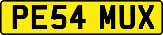PE54MUX