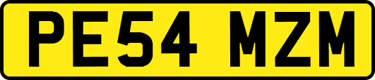 PE54MZM