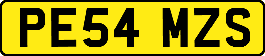 PE54MZS