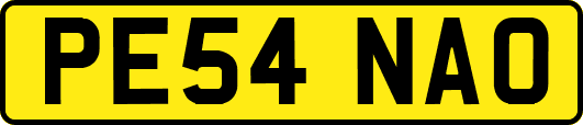 PE54NAO
