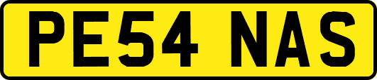 PE54NAS