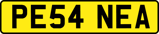 PE54NEA