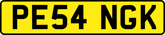 PE54NGK