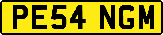 PE54NGM
