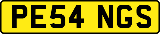 PE54NGS