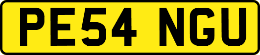 PE54NGU