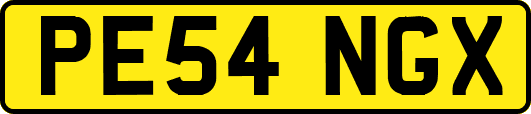 PE54NGX