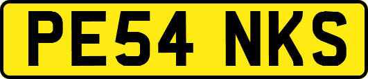 PE54NKS