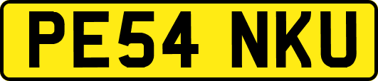 PE54NKU