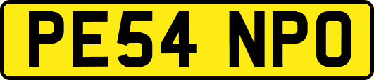 PE54NPO
