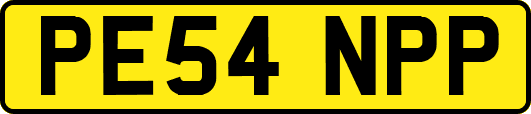 PE54NPP