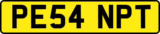 PE54NPT