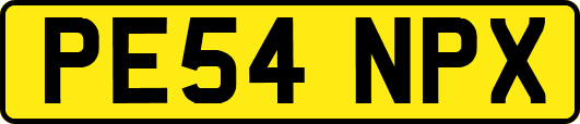 PE54NPX