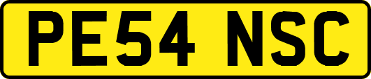 PE54NSC