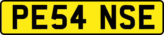 PE54NSE