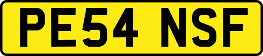 PE54NSF