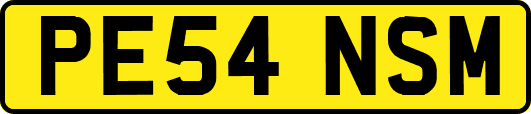 PE54NSM