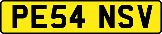 PE54NSV