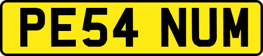 PE54NUM