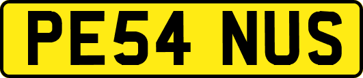 PE54NUS