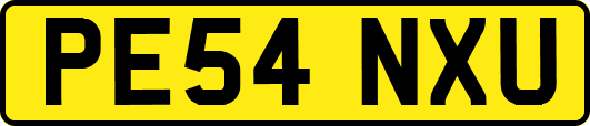 PE54NXU