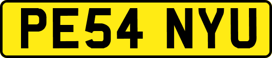 PE54NYU