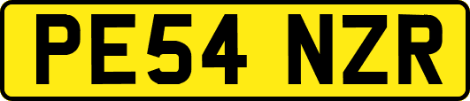 PE54NZR