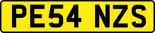 PE54NZS