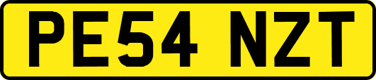 PE54NZT