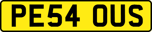 PE54OUS