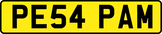 PE54PAM