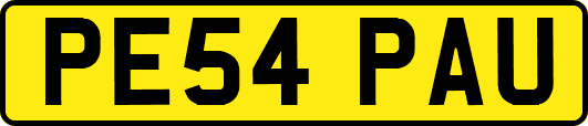 PE54PAU