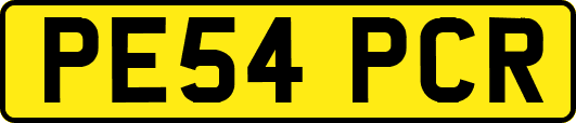PE54PCR