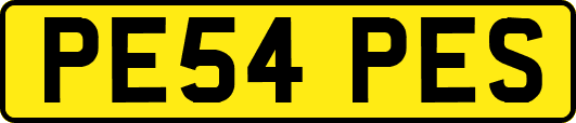 PE54PES