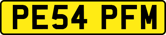 PE54PFM