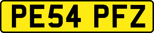 PE54PFZ