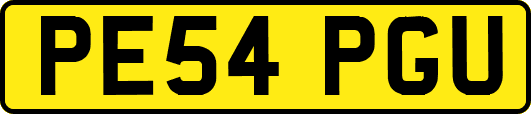 PE54PGU