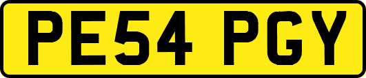 PE54PGY