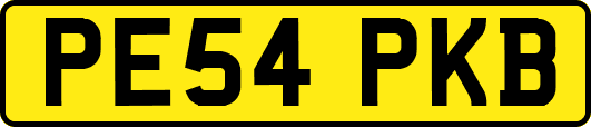 PE54PKB