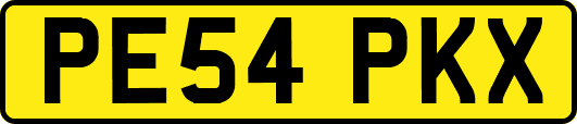 PE54PKX