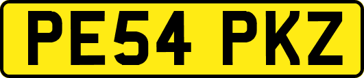 PE54PKZ