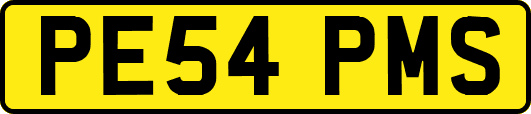 PE54PMS