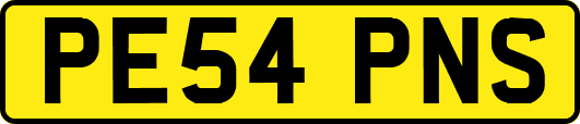 PE54PNS