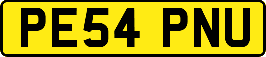 PE54PNU