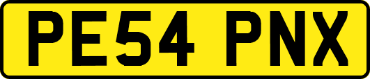 PE54PNX
