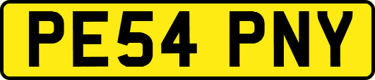 PE54PNY